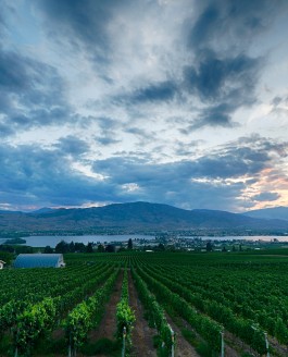 Osoyoos Winery