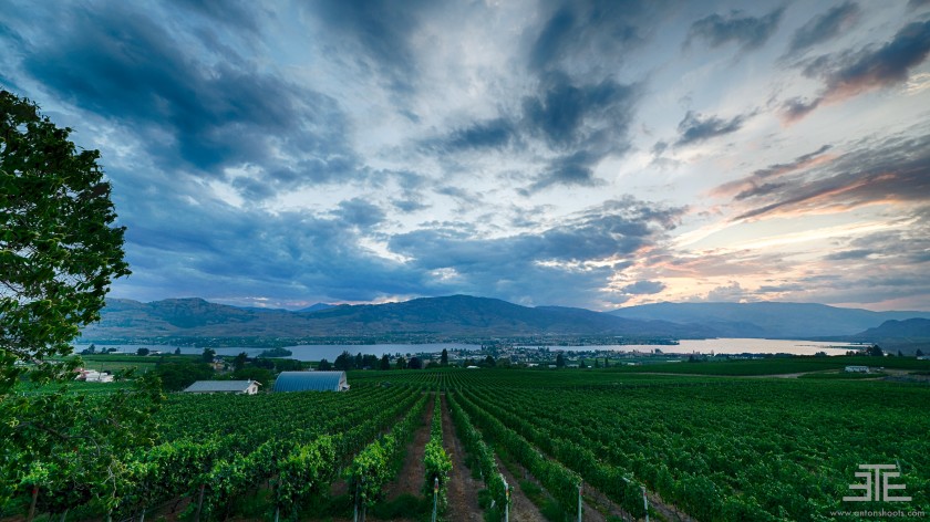 Osoyoos Winery